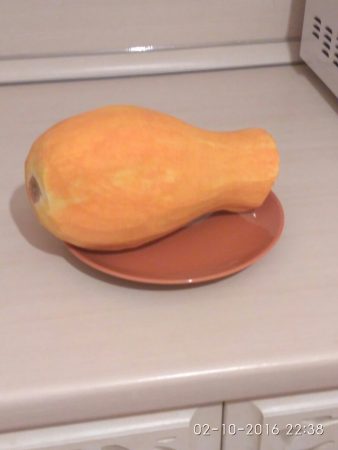 Выбор тыквы